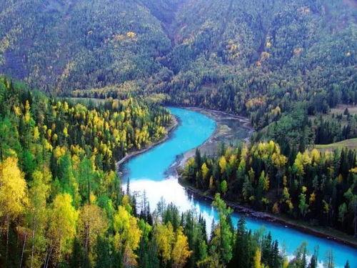 喀纳斯景区爆料视频播放